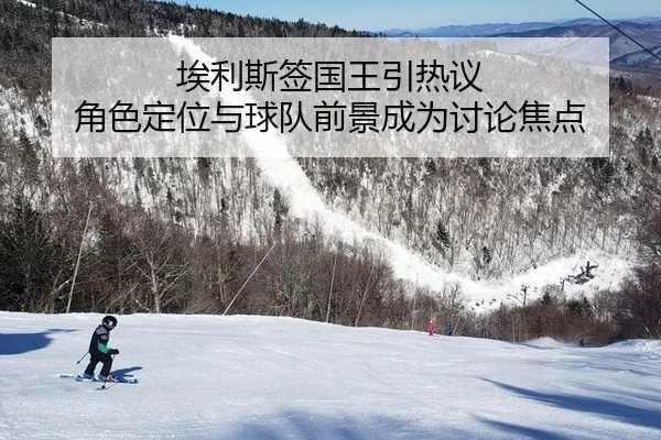 ai-li-si-qian-guo-wang-yin-re-yi-jue-se-ding-wei-yu-qiu-dui-qian-jing-cheng-wei-tao-lun-jiao-dian-2-886.jpg